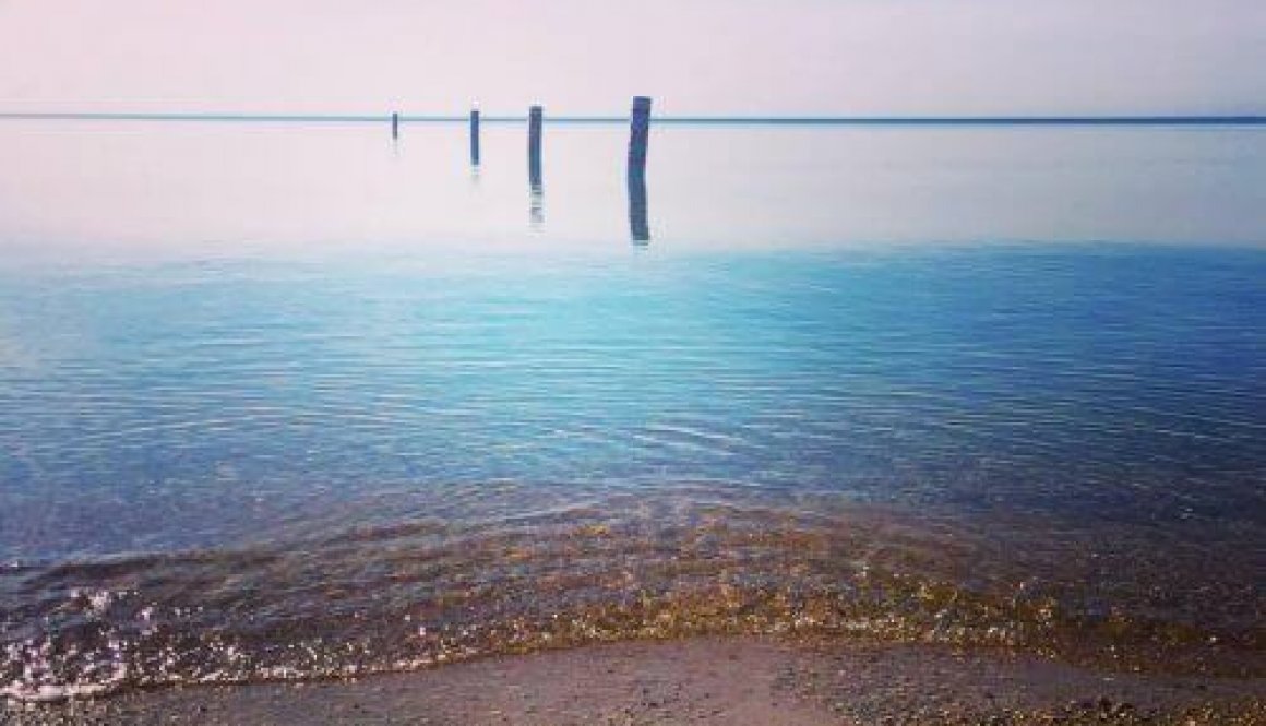 13327352_1896279227265428_4358416850374300746_n