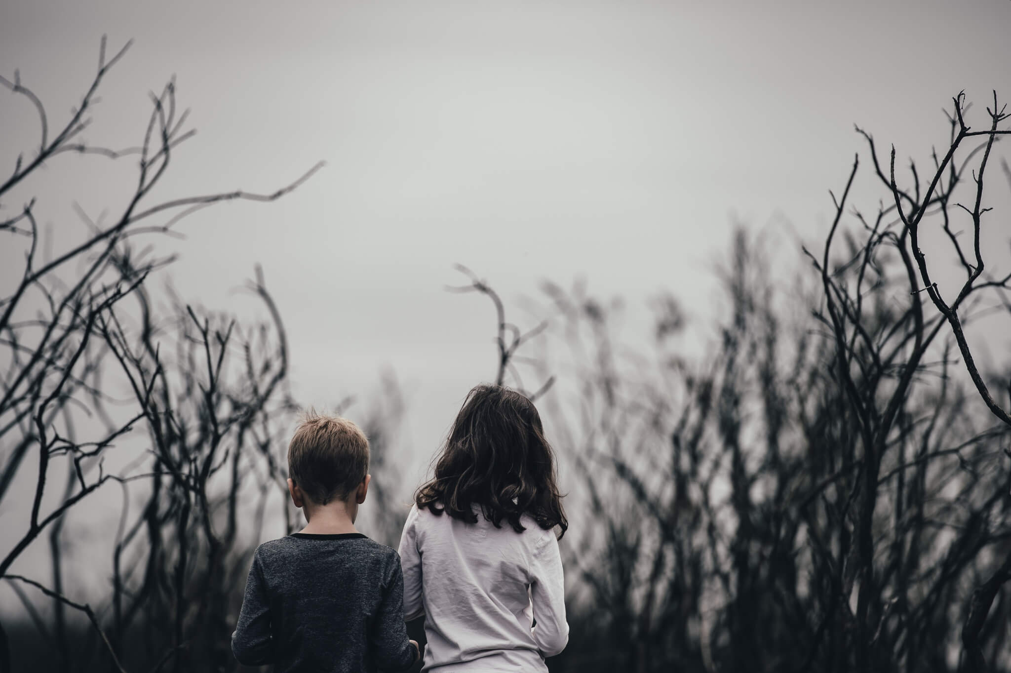 annie-spratt-133873-unsplash