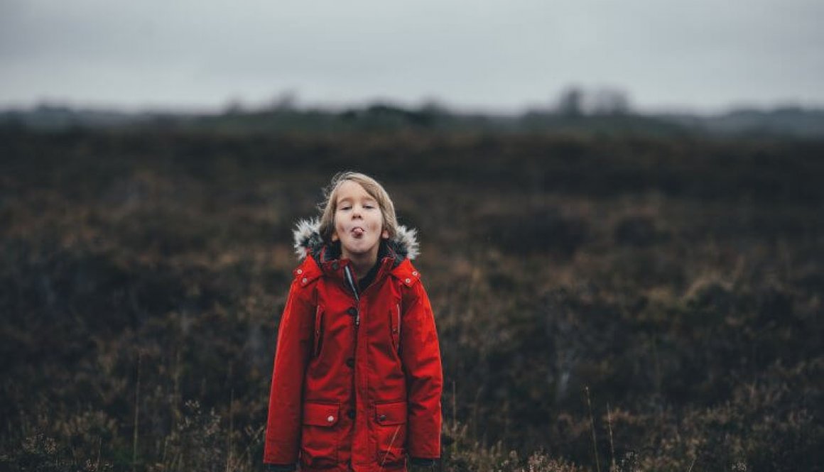 annie-spratt-419254-unsplash