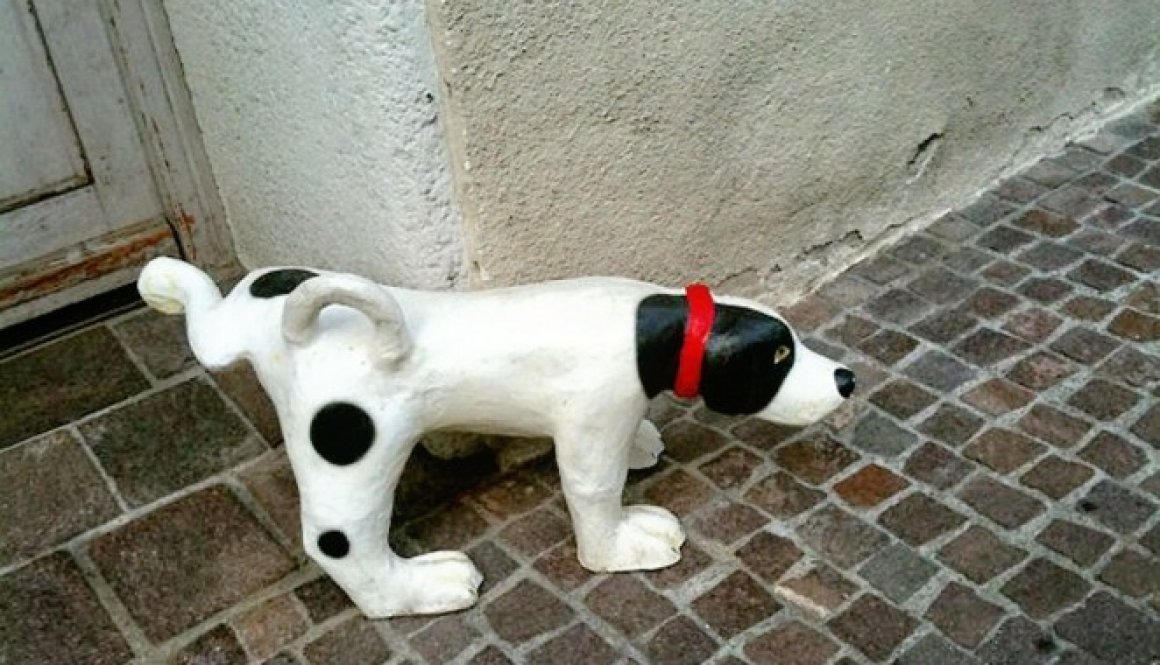 stone dog 194453_1280 pixabay free